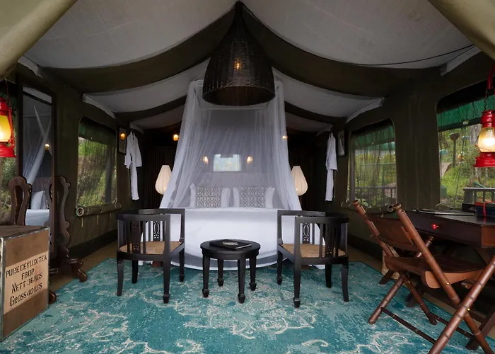 Madulkelle Tea And Eco Lodge